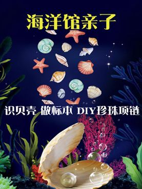 贝壳标本DIY海洋馆里的科普习做2018北京订票