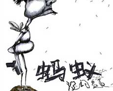 话剧《蚂蚁没问题》