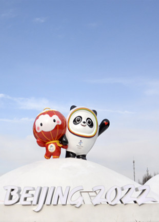 2022北京冬奥会和冬残奥会最新票务政策 不对外售票