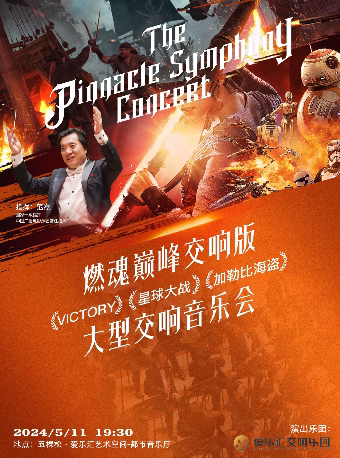 “燃魂巅峰交响版”VICTORY·星球大战·加勒比海盗大型交响音乐会门票